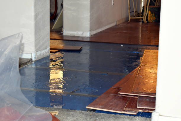 Professional Water Damage Repair technician working in Columbus, IN